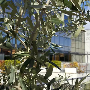 Riviera Palace Aparthotel Loano